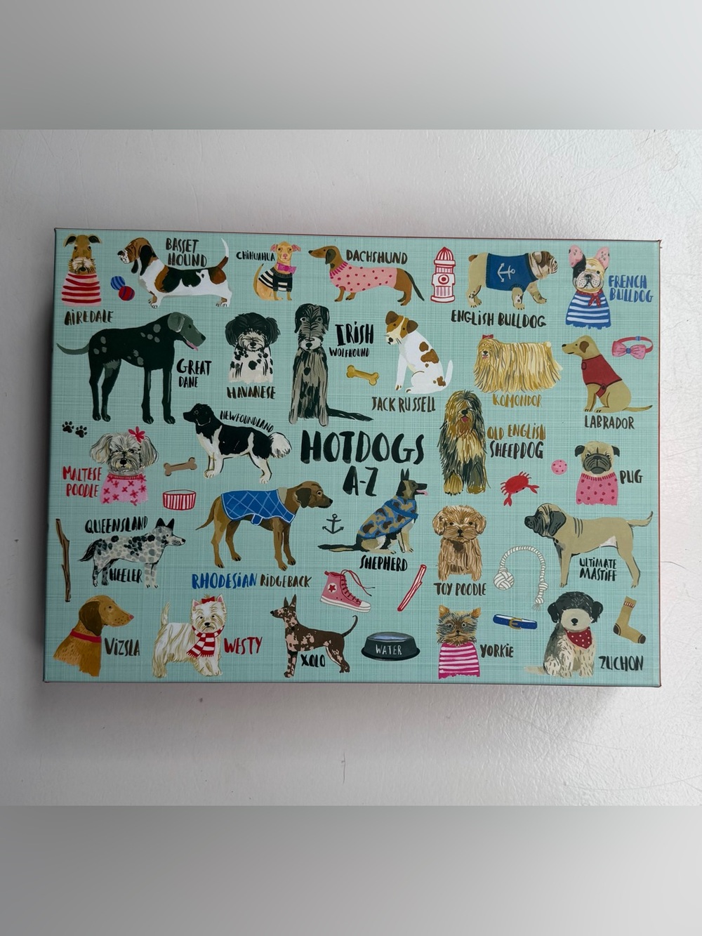 Mudpuppy Hotdogs A-Z Dog 1000 pc puzzle